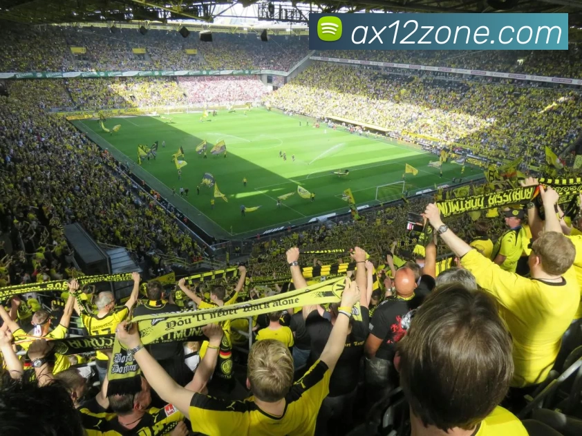 多媒体互动体验