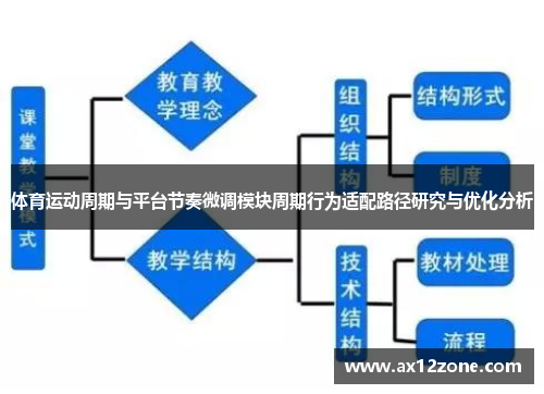 体育运动周期与平台节奏微调模块周期行为适配路径研究与优化分析